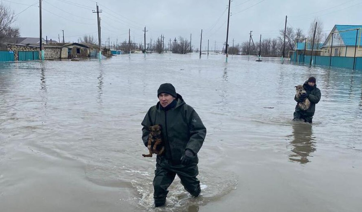 О риске вспышки кишечных инфекций из-за паводков предупредили санврачи