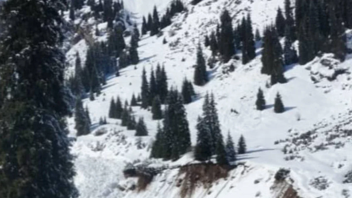 Алматыда қар көшті