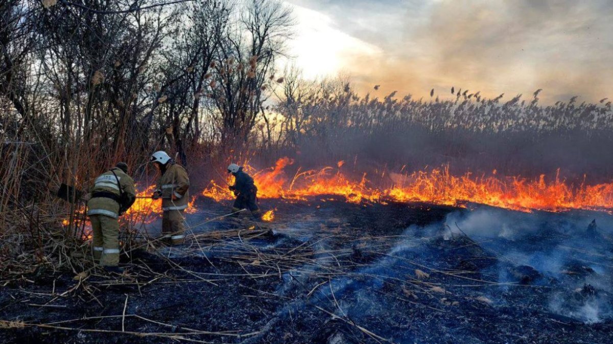 100 гектаров камыша загорелось в Атырауской области