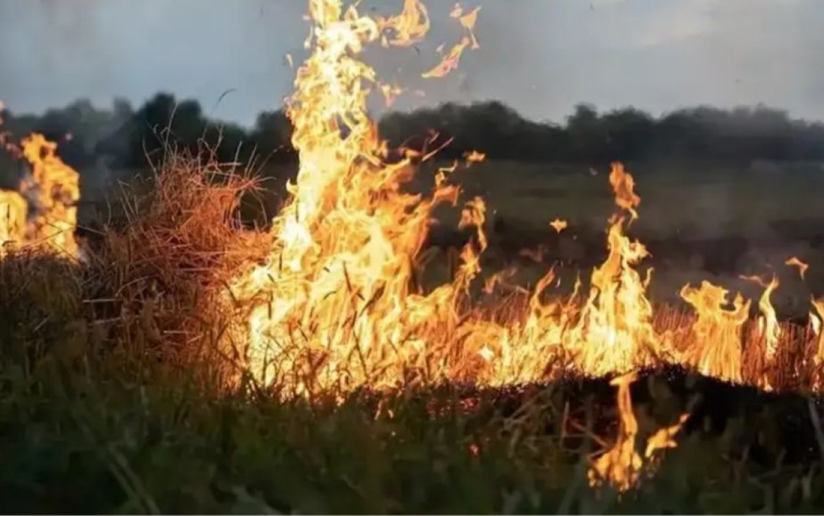 Каспий теңізі жағалауында кеше тұтанған алапат өрт әлі сөндіріліп жатыр
