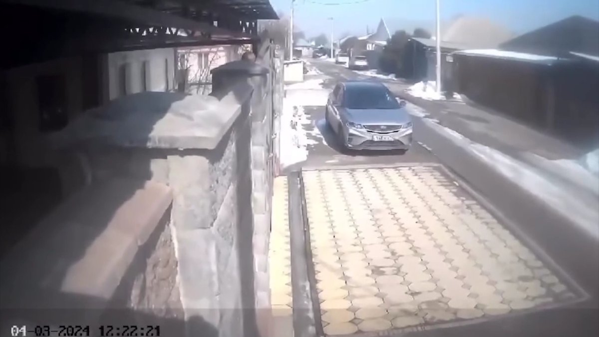 Сейсмологтар Алматы аумағында күшті жер сілкіністері 70% ықтималмен күтілмейтінін айтты