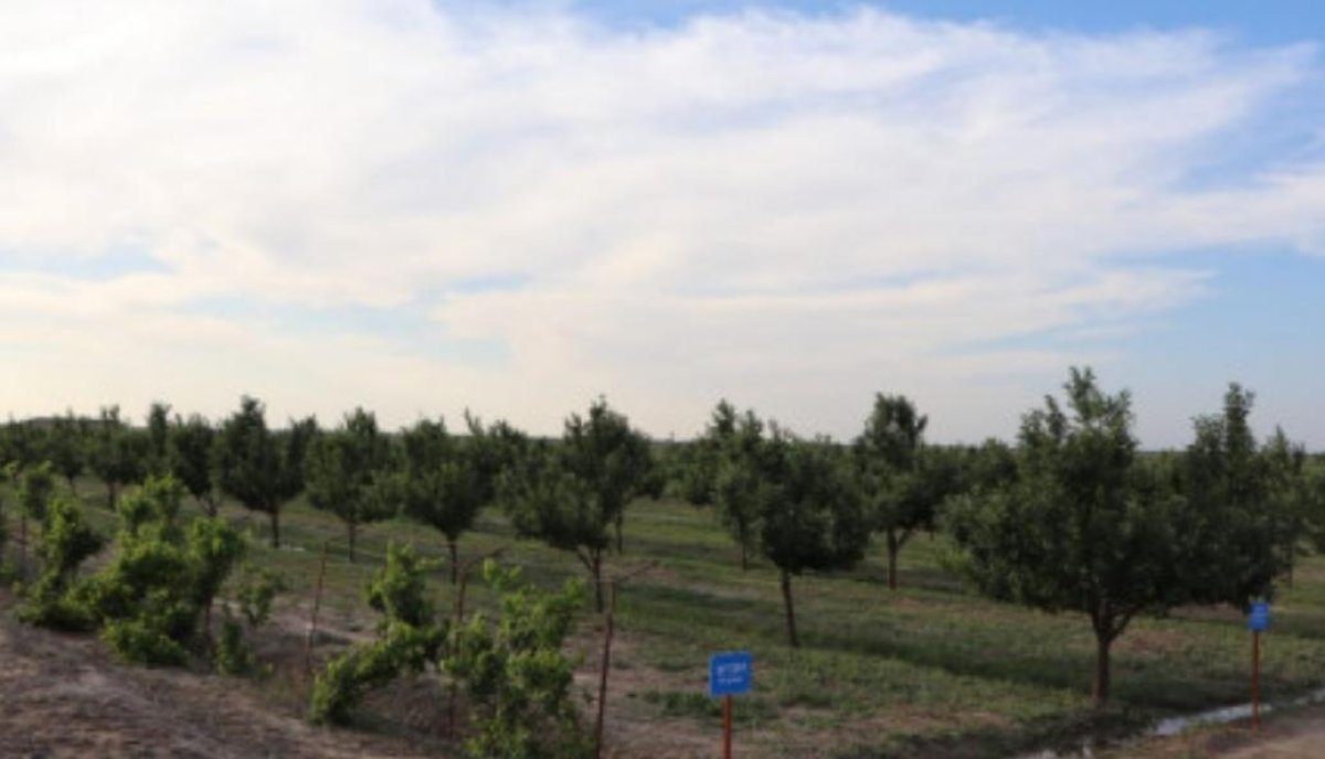 Жамбыл облысында 182 гектар жер мемлекетке қайтарылды