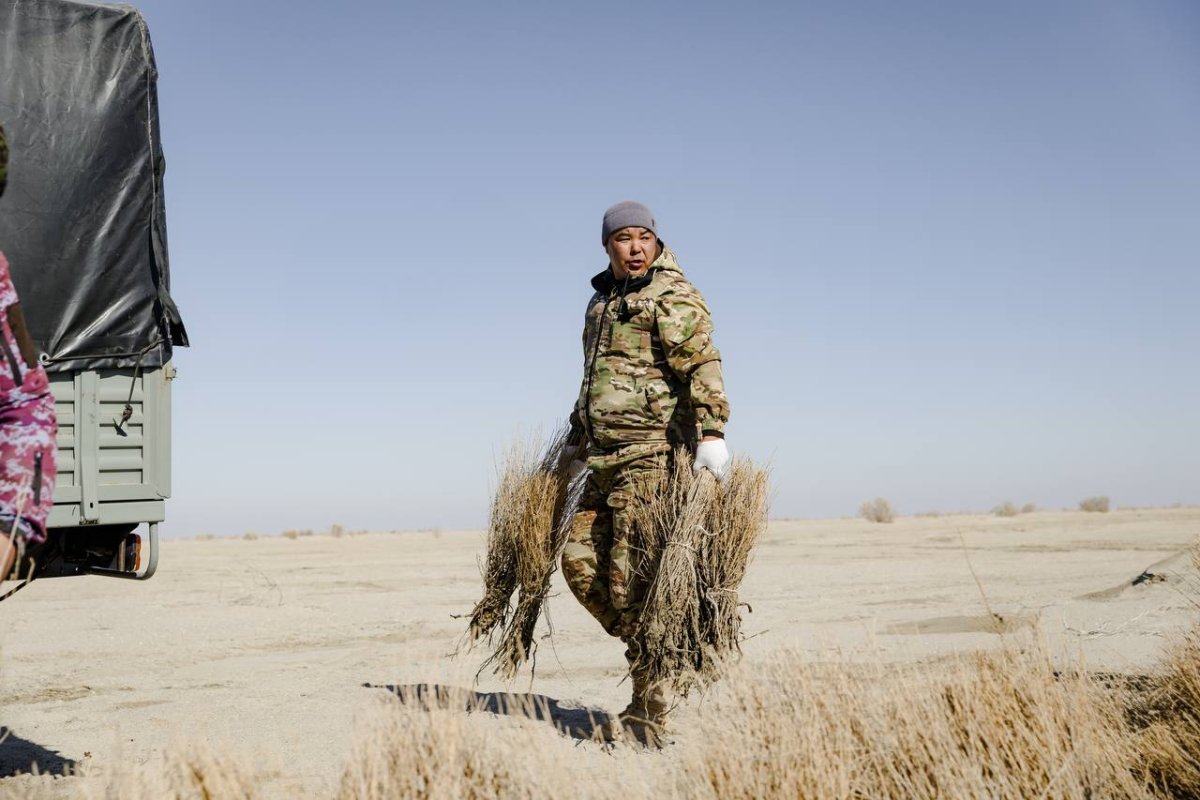 Первые 5100 саженцев саксаула на дне Арала высадили волонтеры