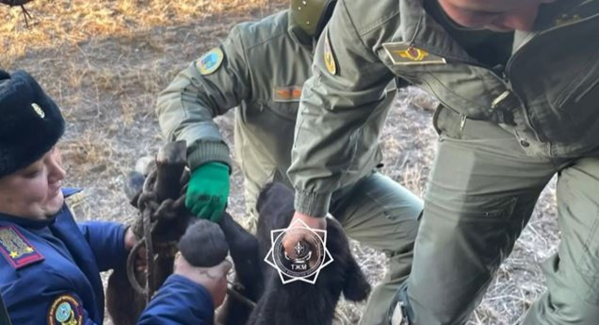 Спасены двое пастухов в области Абай