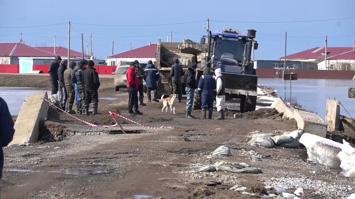 Сельчанин ранил ножом спасателя во время противопаводковых мероприятий в ЗКО