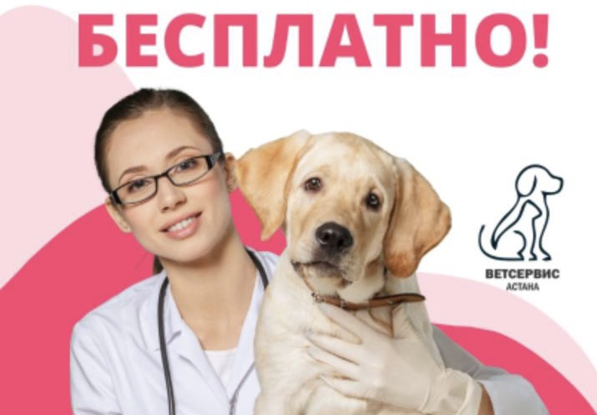 Бесплатную вакцинацию домашних питомцев начали в Астане