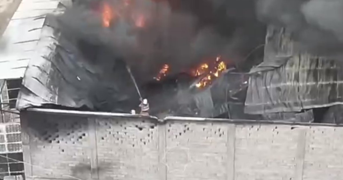 Три человека пострадали в крупном пожаре в Каскелене (ВИДЕО)