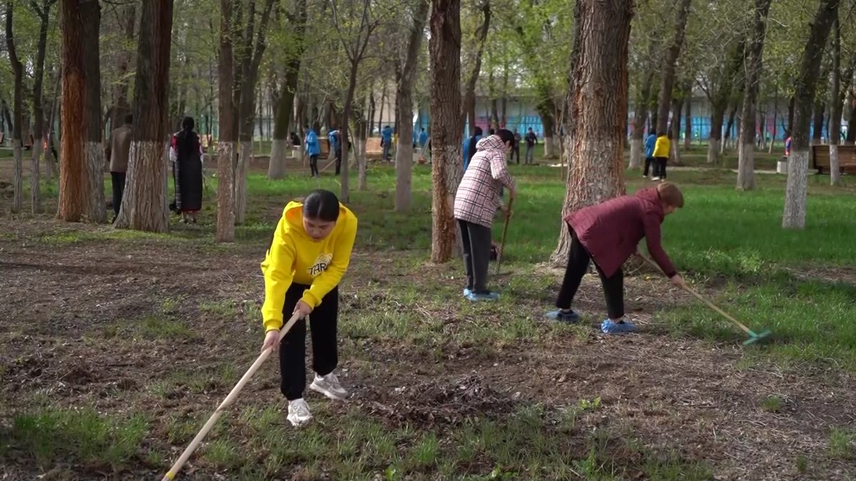 "Таза Қазақстан" акциясы аясында Таразда 2200 түп көшет егілді