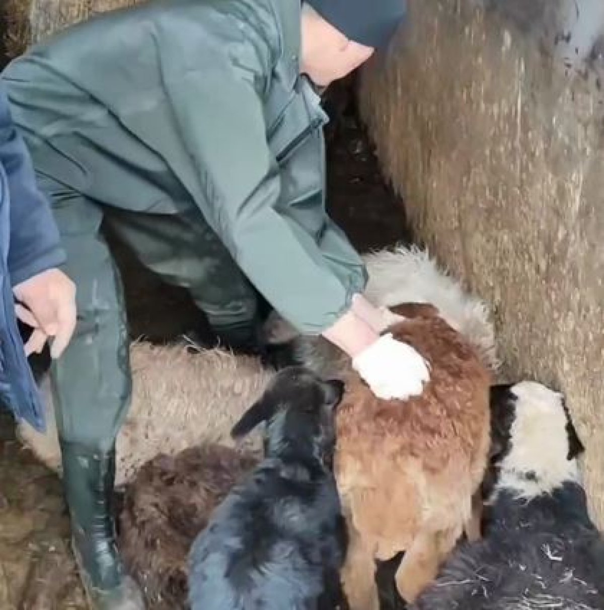 МЧС показали как проходит эвакуация жителей в СКО