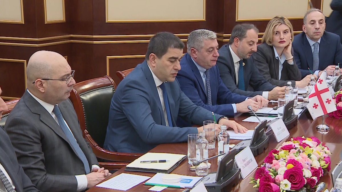 Ерлан Қошанов Грузия Парламентінің төрағасы Шалва Папуашвилимен кездесті