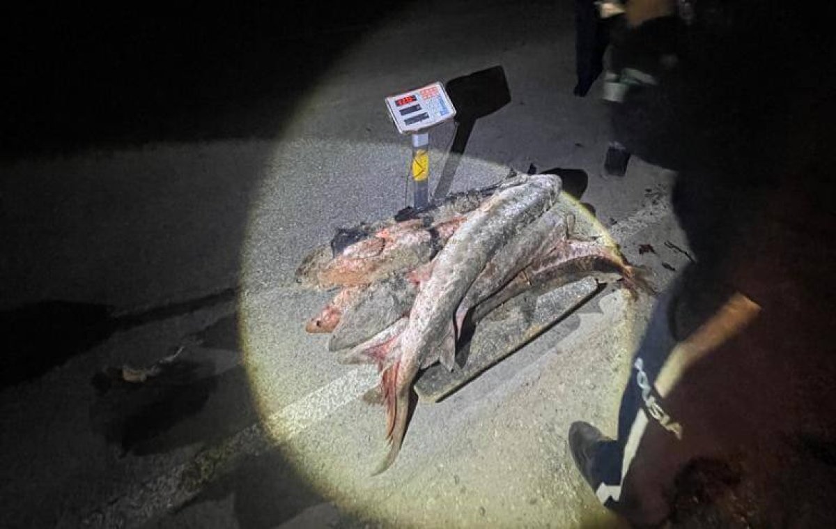 Погони и задержания любителей осетровых: браконьеров ловят на Урале и Каспии (ВИДЕО)