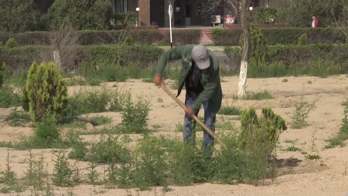 «Таза Қазақстан» акциясы басталғалы Ақтау қаласынан 70 тоннадан астам қоқыс шығарылды