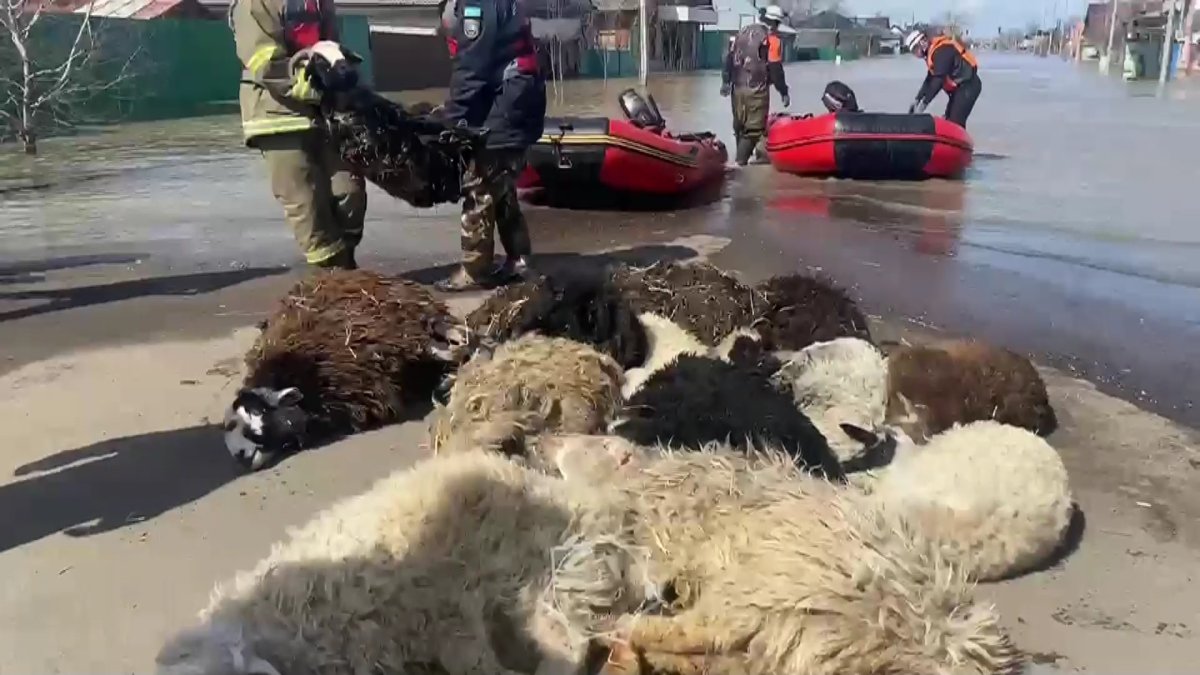 No comments: казахстанцы продолжают борьбу со стихией