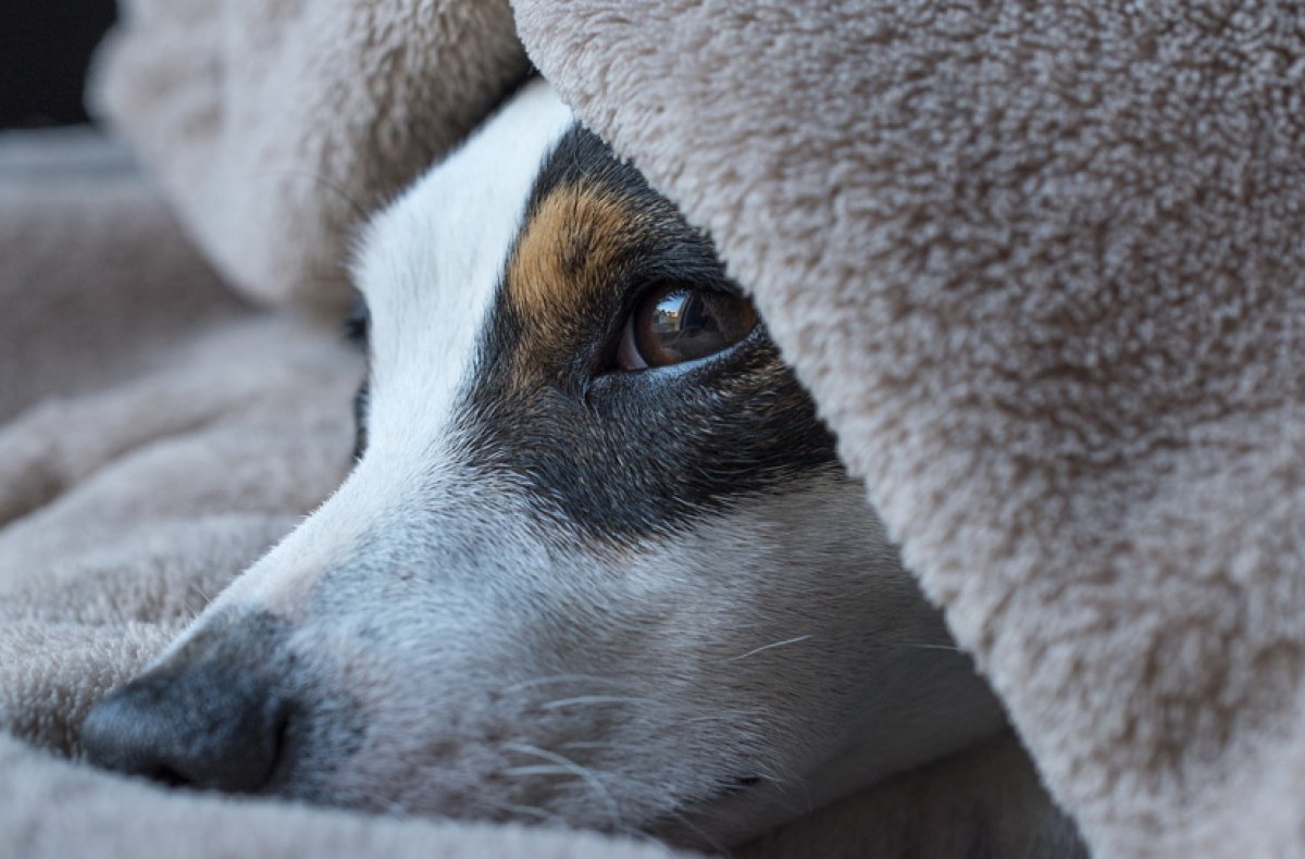 Хронический недосып опаснее алкоголизма, - исследование
