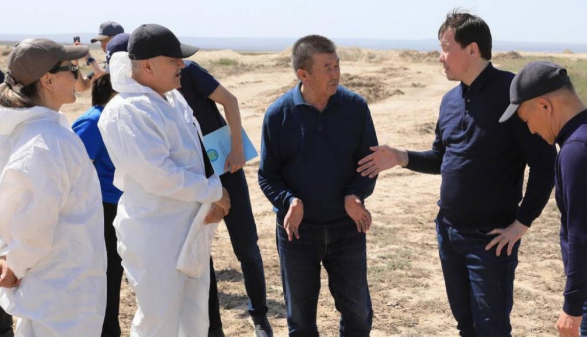 Ақтөбеде су тасқыны кезінде өлген мал үшін өтемақы төлене бастады