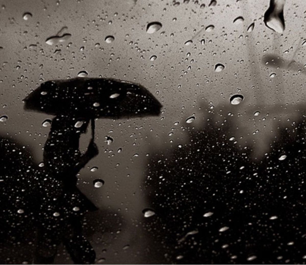 Түнде жаңбыр жауады