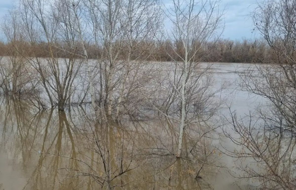 Жайық өзенінің деңгейі Оралда 34 сантиметрге көтеріліп, қауіпті шекке жақындады