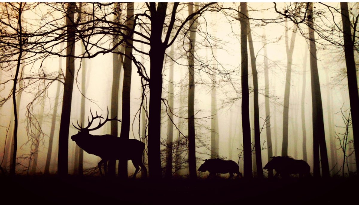 Двое мужчин умерли от «зомби-вируса»