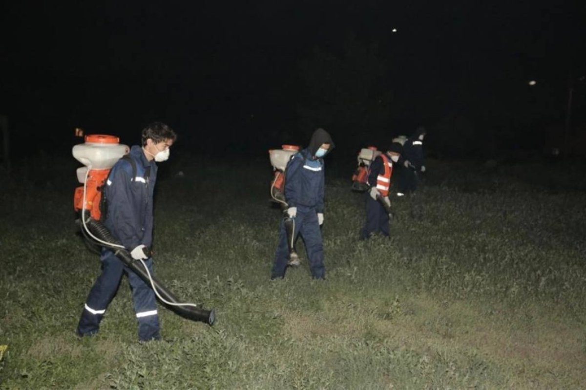 О ядовитой опасности ночных прогулок в парках и скверах предупредили астанчан