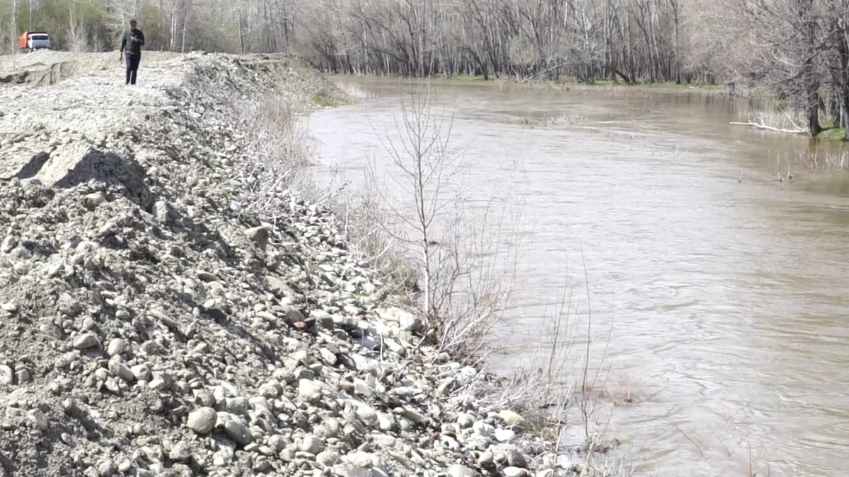 Ядохимикаты в талой воде близ Маралды: информацию из сети опровергли экологи ВКО