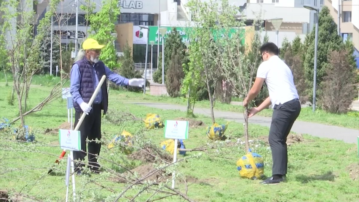 "Бүгін ізгі ниетпен егілген тал болашақ ұрпаққа жолданған әдемі хат іспетті",-актер