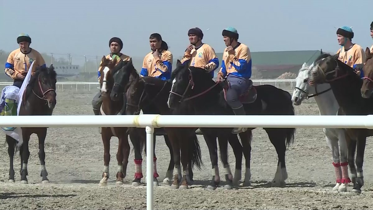 Қызылордада көкпардан Қазақстан чемпионаты басталды