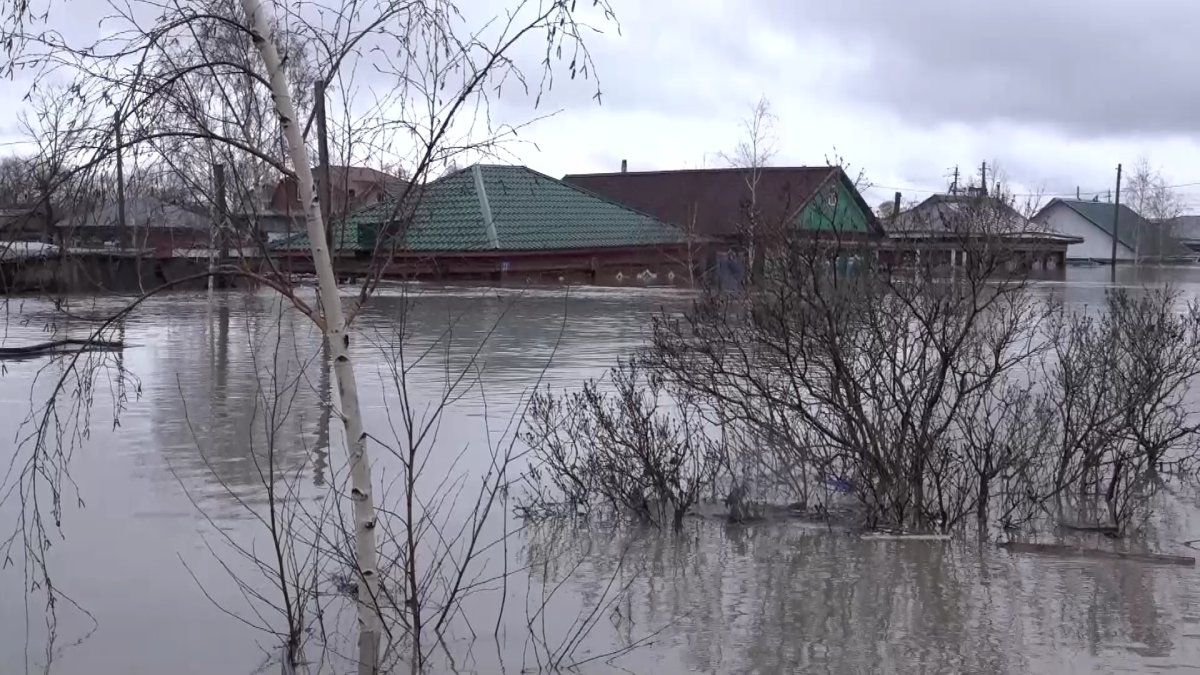 "На этой беде бизнес не надо делать", - аким СКО обратился к предпринимателям региона