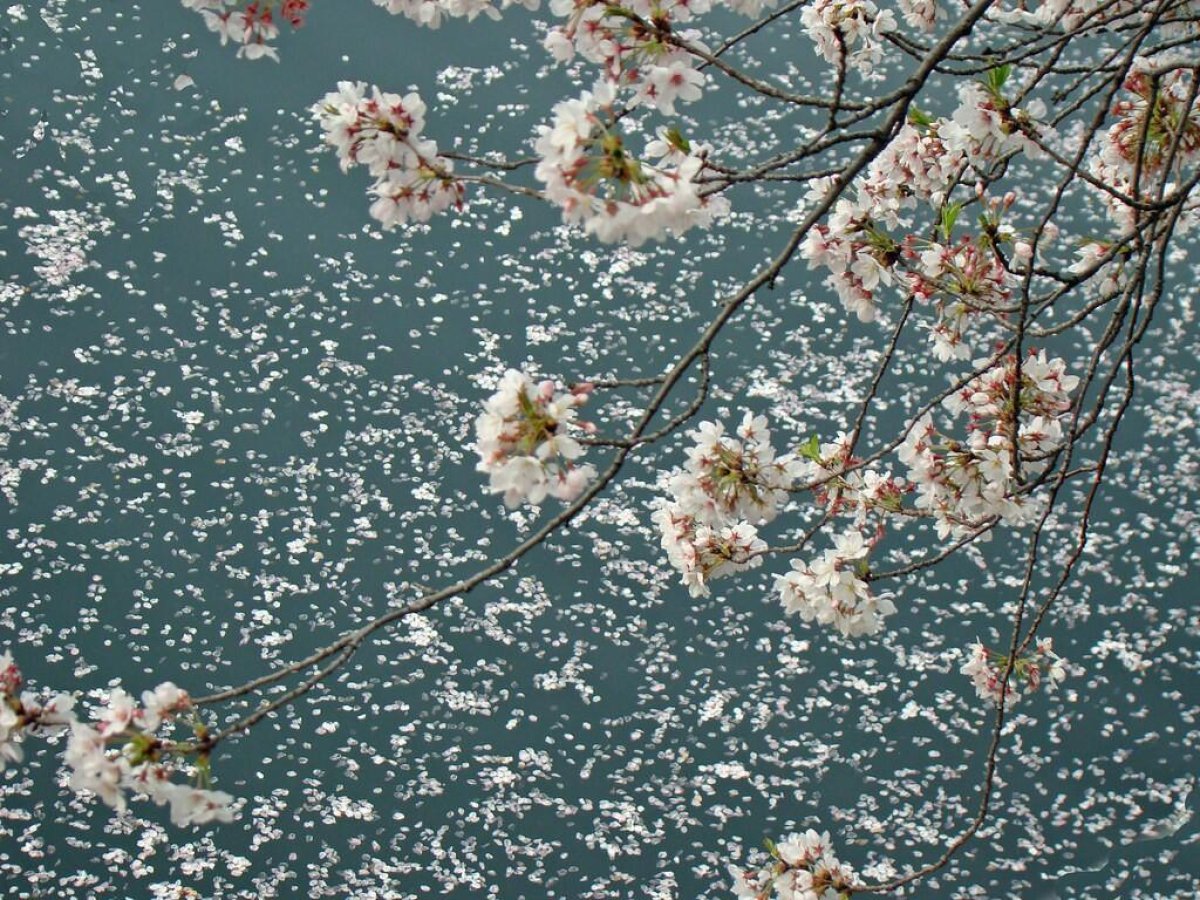 Дожди, заморозки и ветер: о погоде на пятницу рассказали синоптики