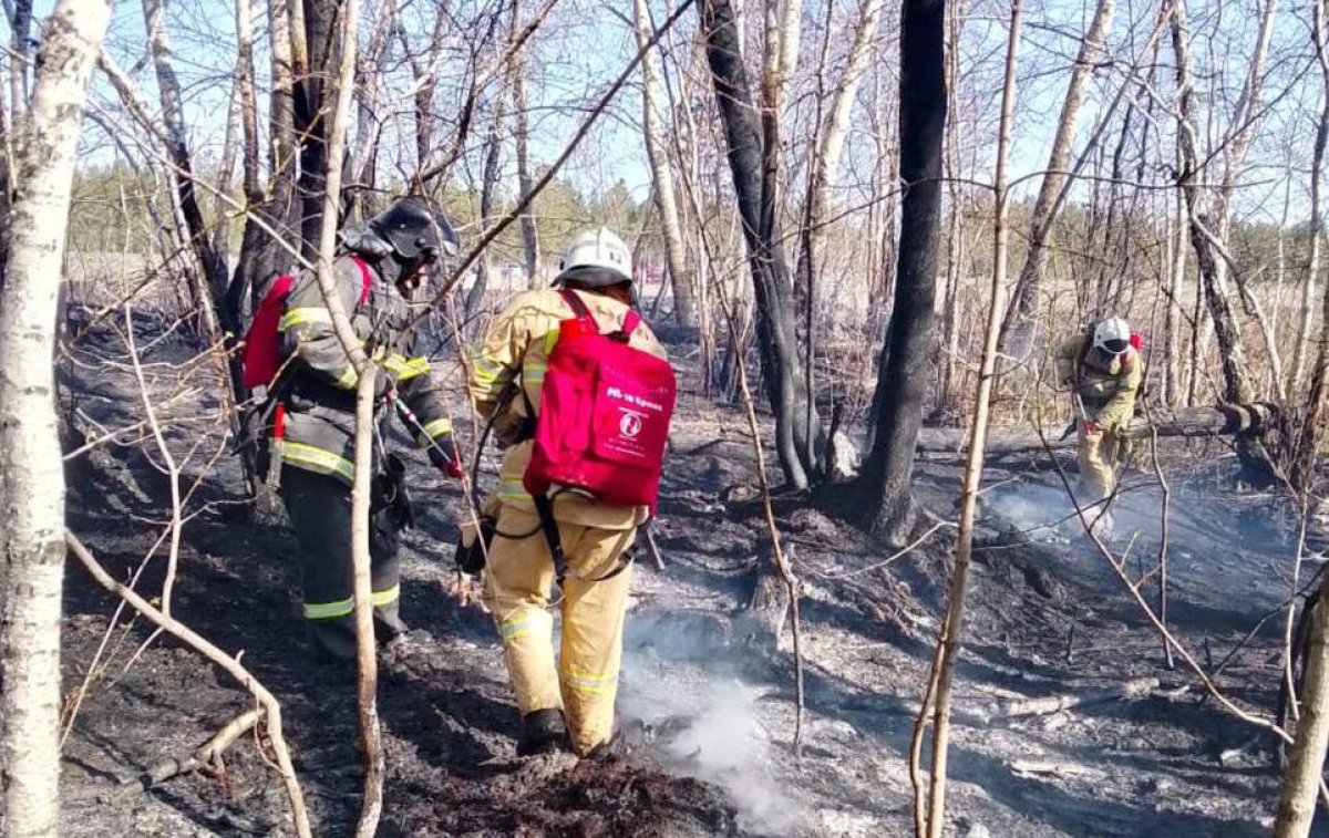 Семей Орманы снова горит (ВИДЕО)