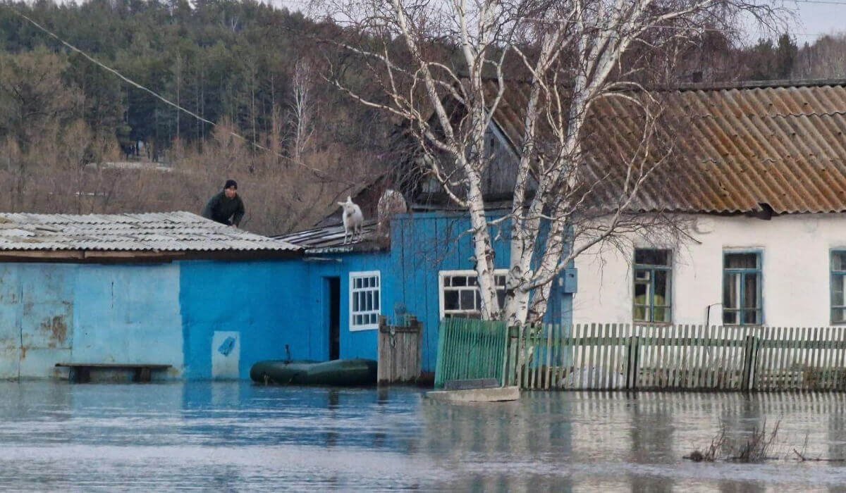 Қазақстандағы су тасқыны: 12 мыңнан астам отбасы мемлекеттік қолдауға ие болды
