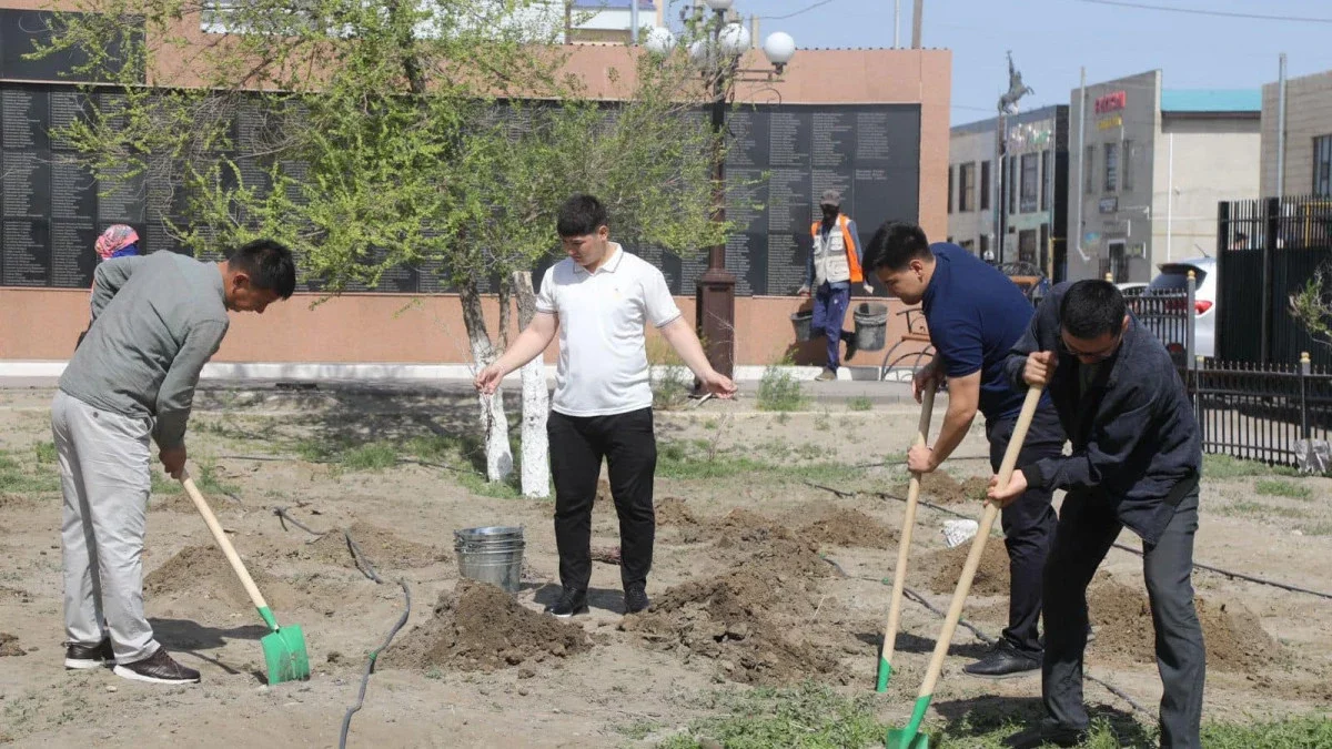 Таза Қазақстан. Аралда 3000 түп ағаш отырғызу жоспарланып отыр