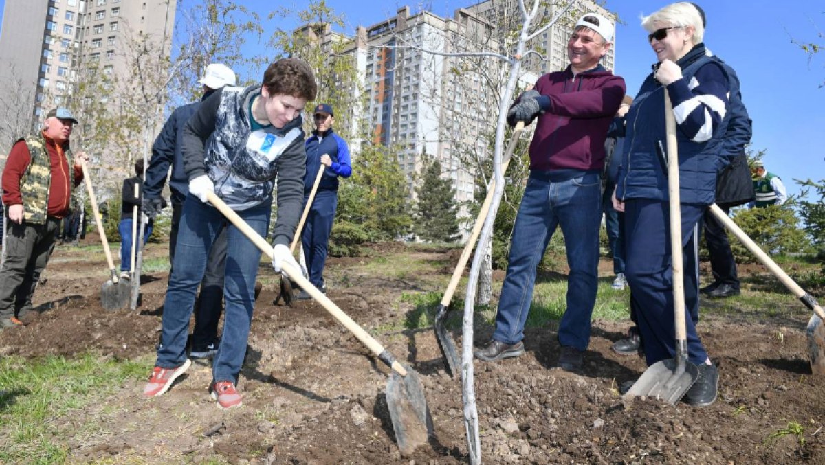 Сотни деревьев высадили мажилисмены в Астане