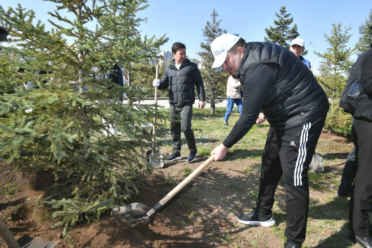 Депутаттар 350 түп  ағаш екті