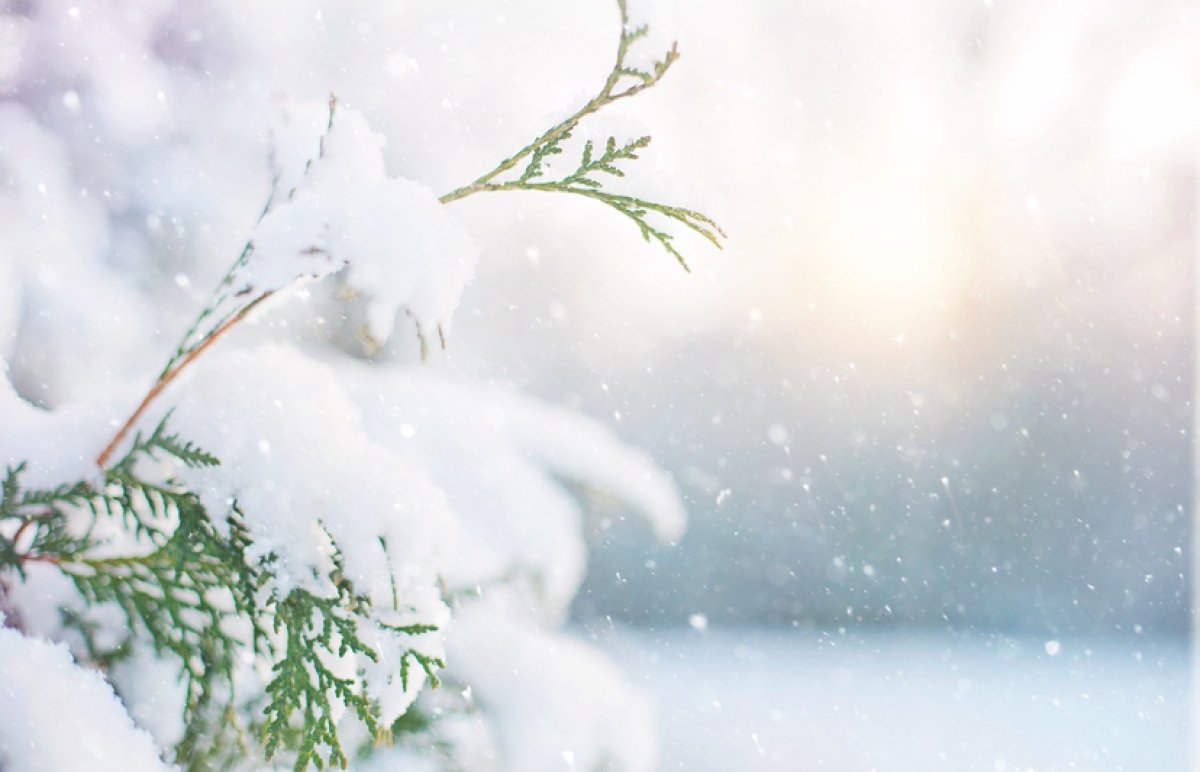 Снег выпал в Жамбылской области: каких еще сюрпризов ждать от погоды казахстанцам? (ВИДЕО)