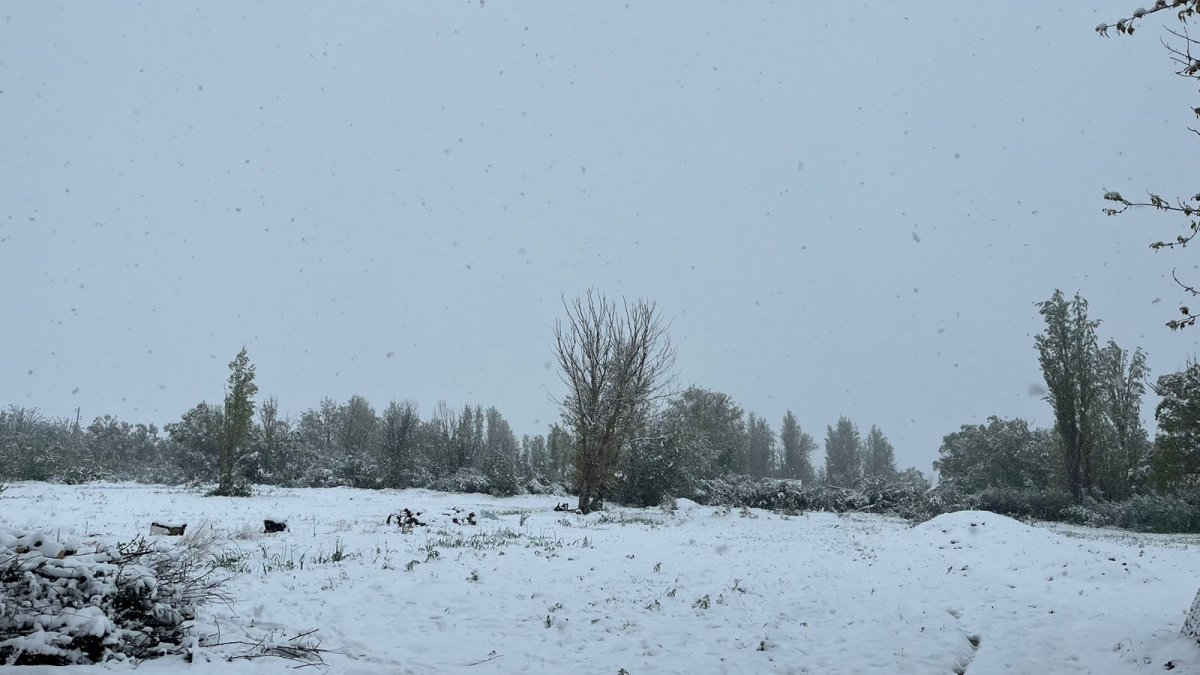 Жамбылда қар жауды