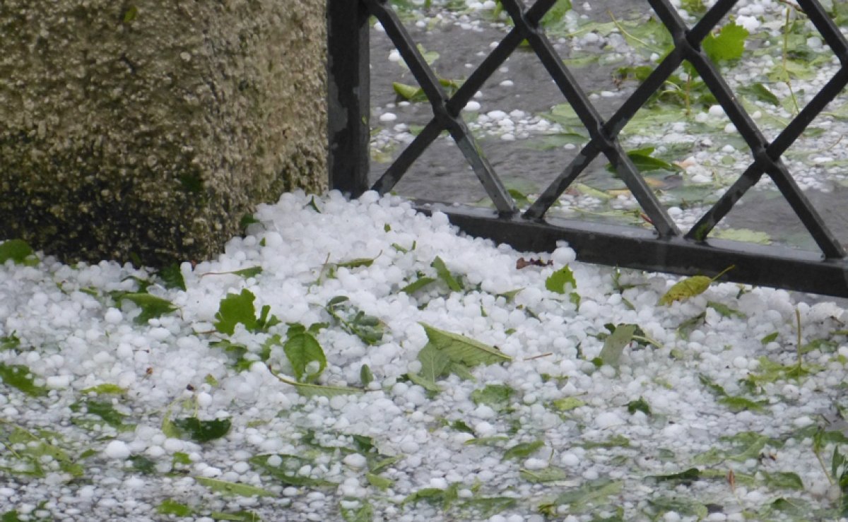 Грозы, ветер, град и снег: неустойчивую погоду в мае обещают синоптики