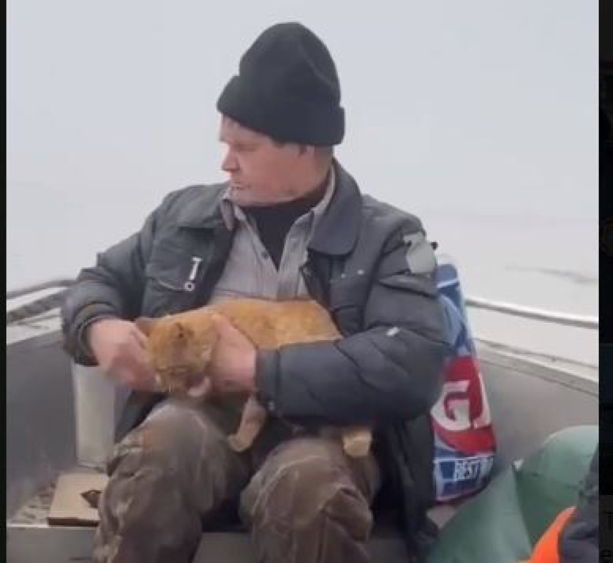 Мужчину с кошкой спасли в Акмолинской области