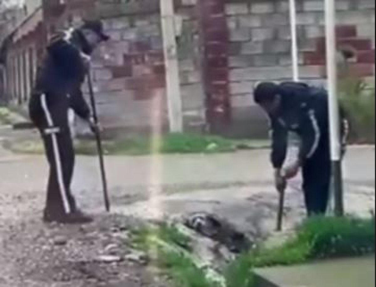 Застрявшую в канаве собаку спасли полицейские в Шымкенте