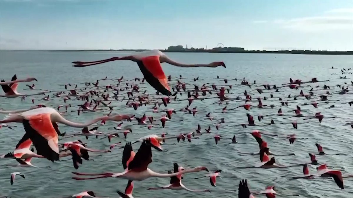 Ақтау 2025 жылы түркі әлемінің астанасы болады