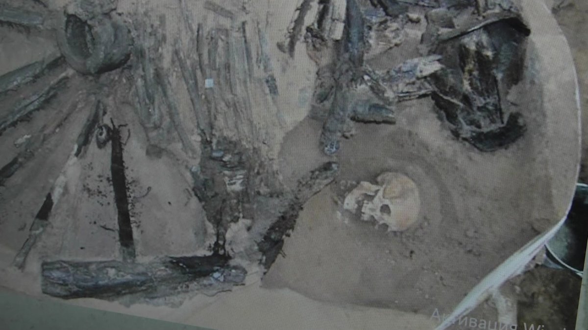 Павлодарские археологи изучают историю кимаков по насекомым