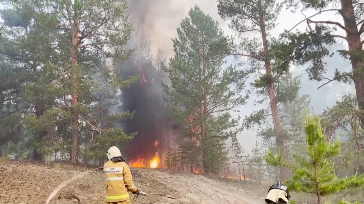Масштабный пожар в области Абай: суд вынес приговор руководителям резервата «Семей орманы»