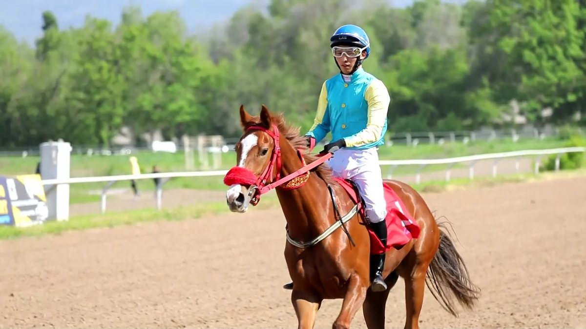 Алматыда Ұлттық спорт қауымдастығының қолдауымен ат жарысы өтті