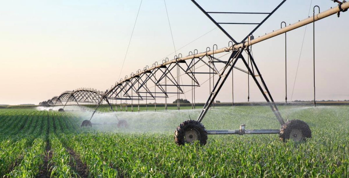 Цены на поливную воду в Туркестанской области снизились до 38%