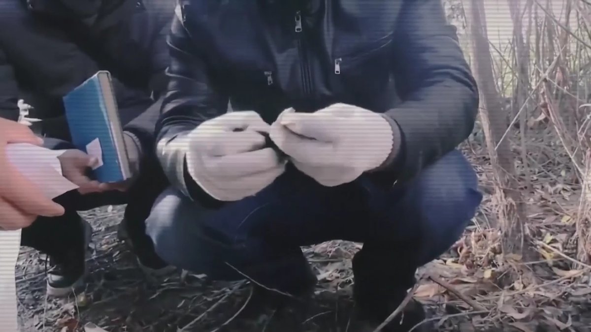 Нашақорлар мәжбүрлі түрде есепке қойылады
