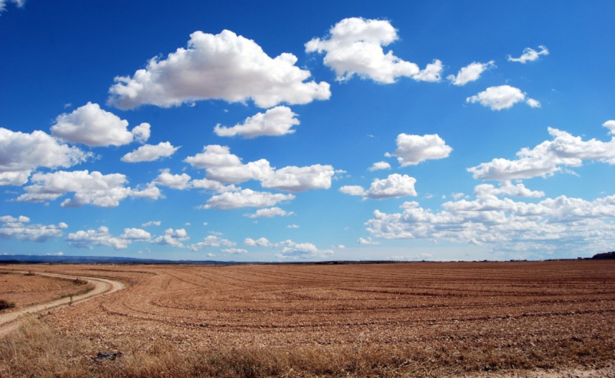Земельные участки незаконно предоставляли власти СКО
