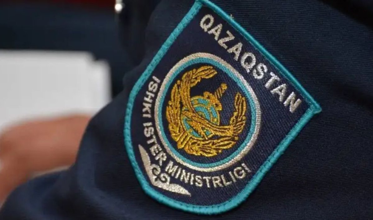 Интерполдың көмегімен 3 жасар бала Қазақстанға қайтарылды