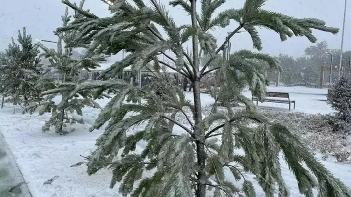 Ақмола облысында қар жауды