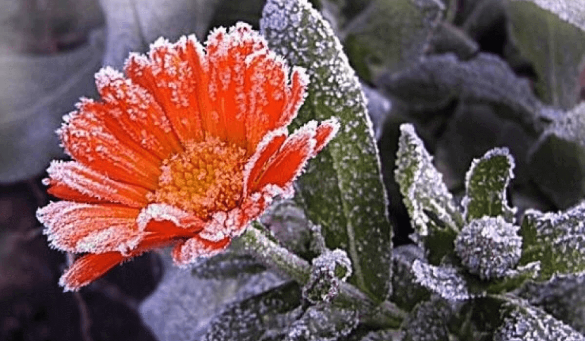 Синоптиктер Астанада қар жауатынын ескертті