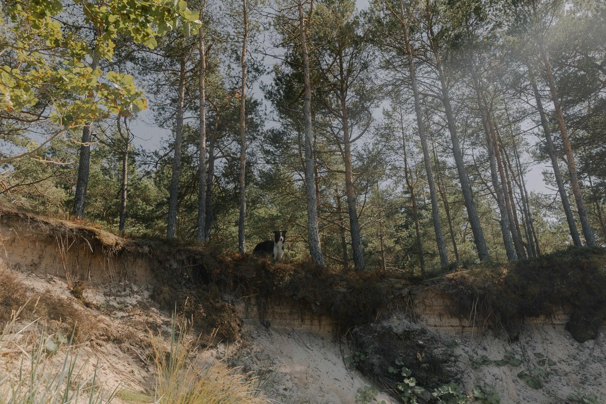 Крупный оползень произошел в Папуа - Новой Гвинее: сотни погибших