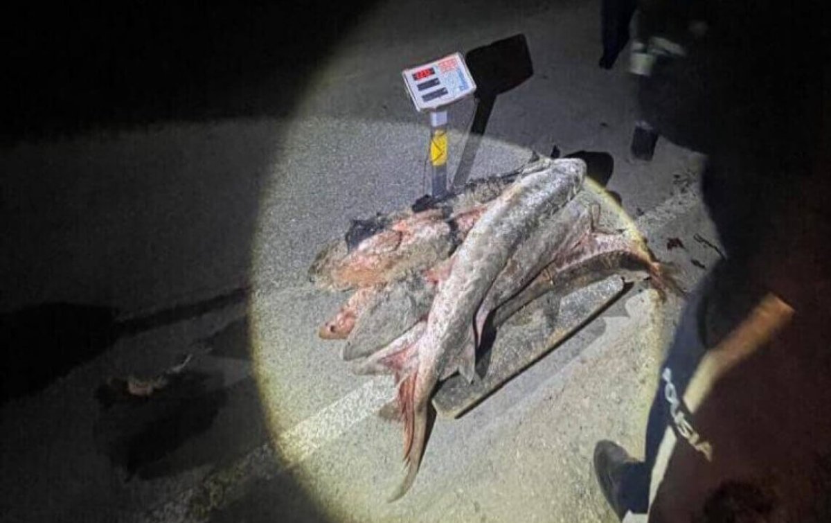 Атырауда екі балық инспекторы браконьерлікпен айналысты деген күдікке ілінді